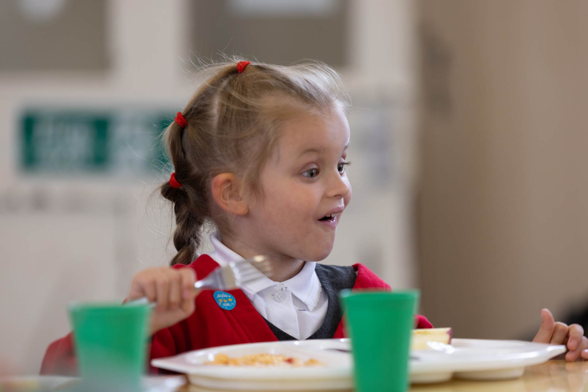 School Dinners